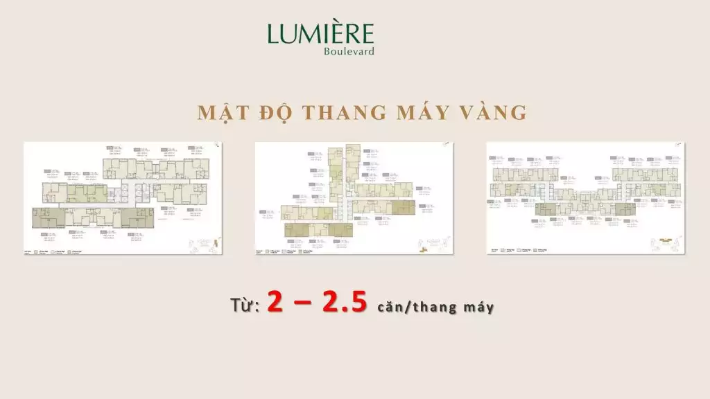 gioi thieu lbv mcp web 56 1 20230516090549 l8klh 1024x576 1