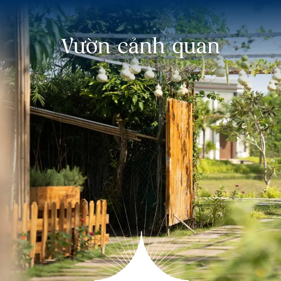 vuon-canh-quan.jpg.webp
