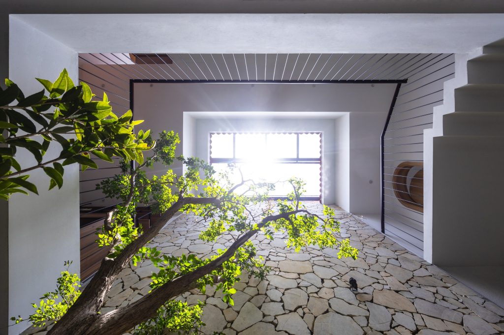 kien truc an tuong cua mat tien ngoi nha cat vat6