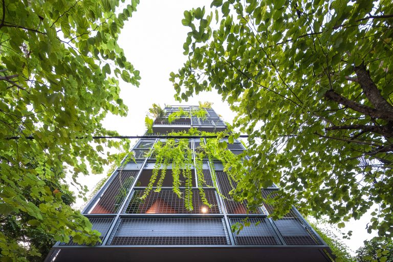 phu-xanh-mat-tien-ngoi-nha-6-lau-giup-giam-tieng-on3